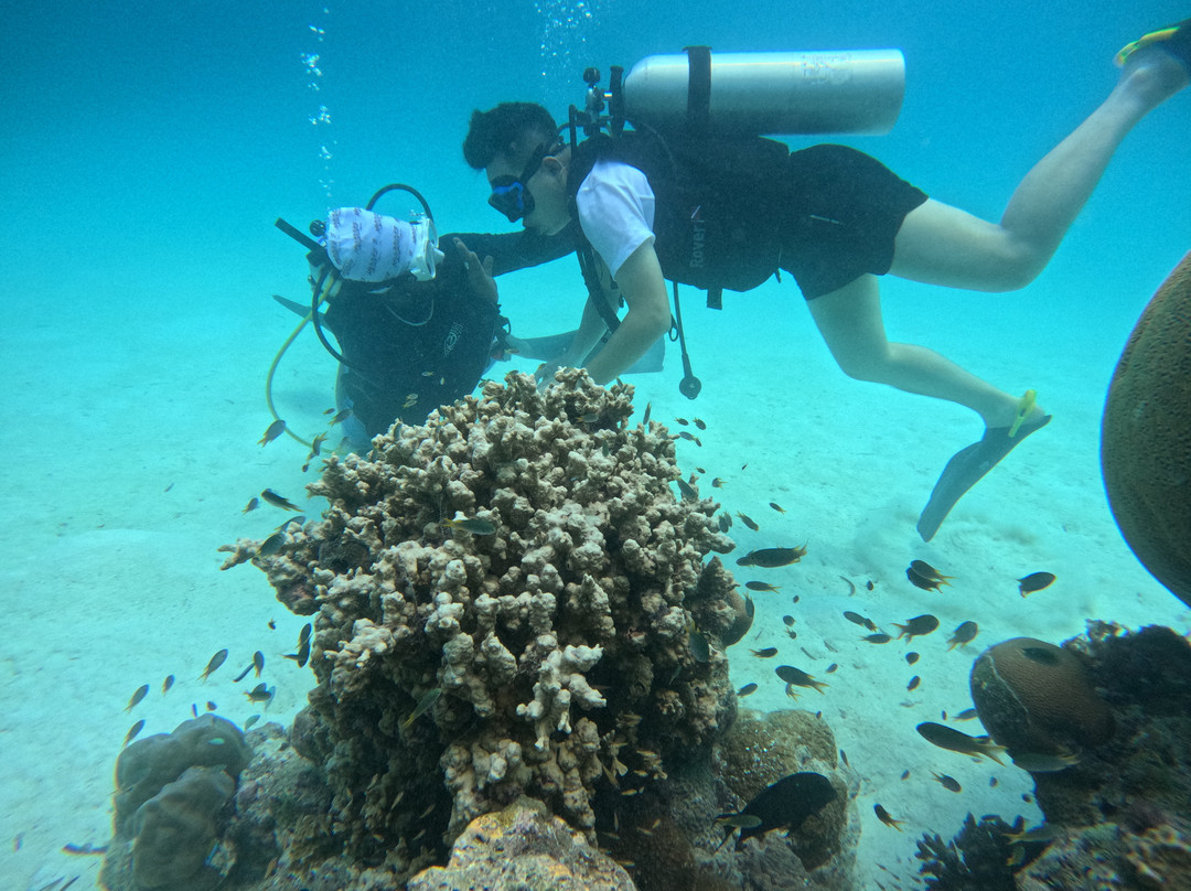 Sub Oceanic at Le Méridien Maldives Resort & Spa-Thilamaafushi必去景点