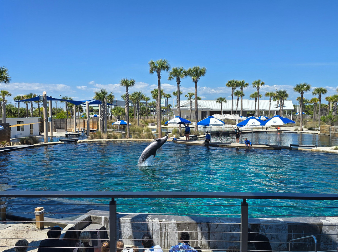 Gulfarium Marine Adventure Park-华尔顿堡滩必去景点