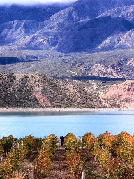 波垂利罗斯大酒店-旅行者