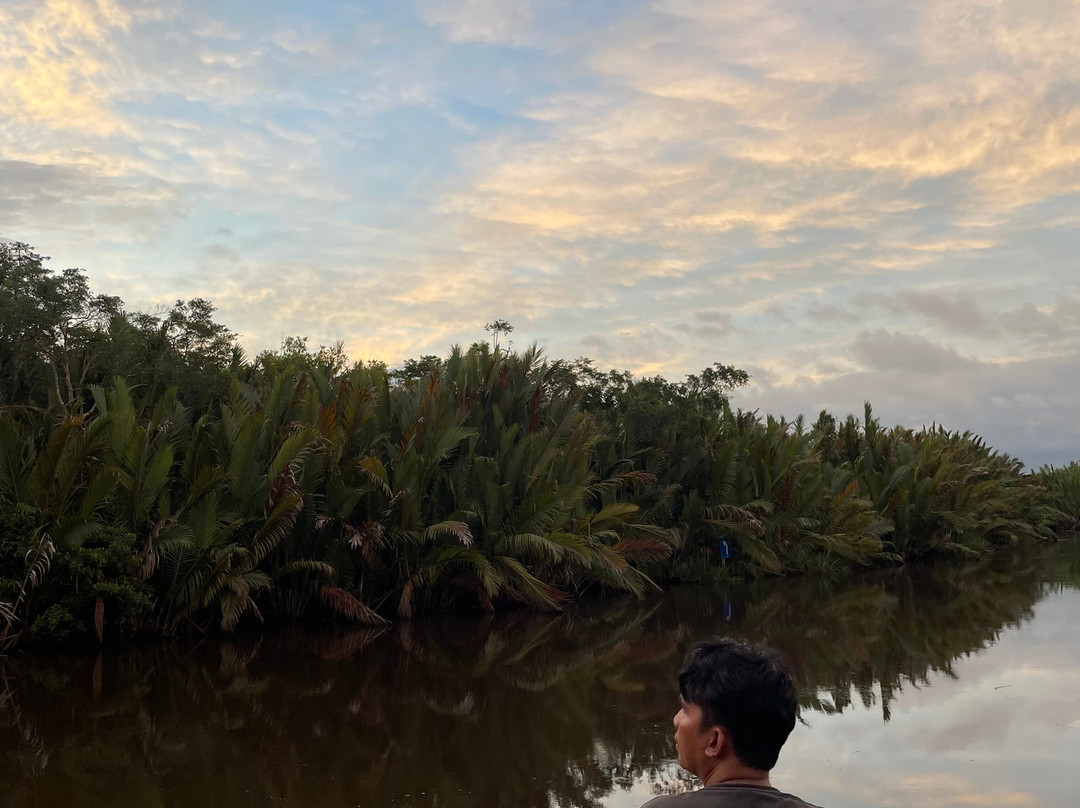 Orangutan Houseboat Tour-Kumai必去景点