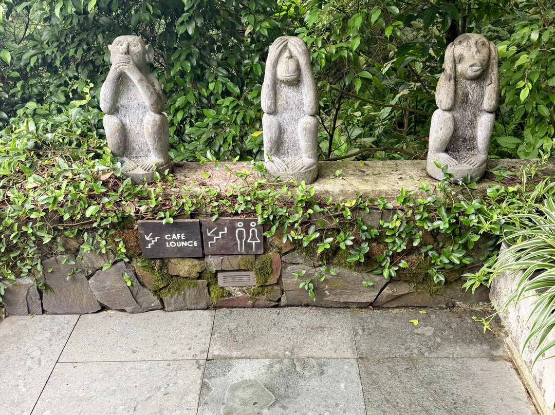 巴位山美利亚度假酒店主图