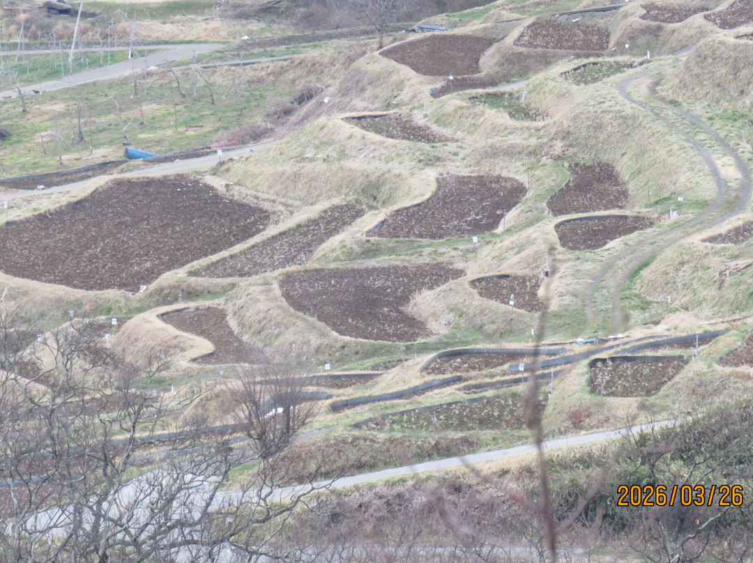Obasute tanada (Terraced rice fields)-千曲市必去景点