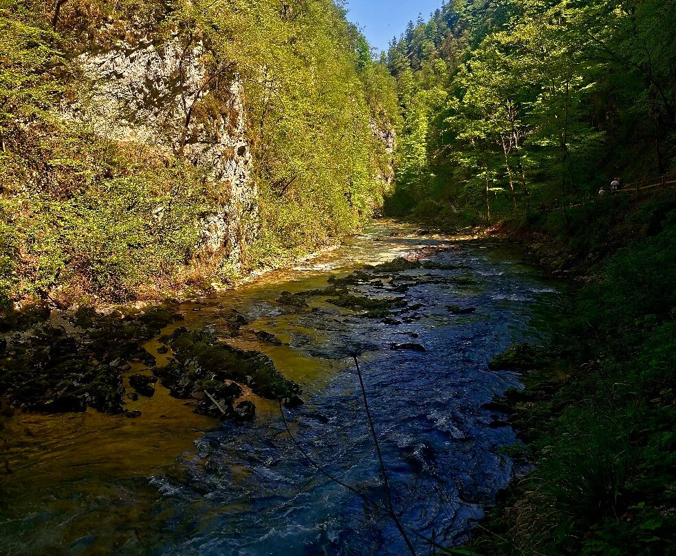 文特加峡谷（Soteska Vintgar）-Zgornje Gorje必去景点