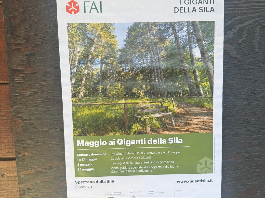 I Giganti Della Sila-Spezzano della Sila必去景点