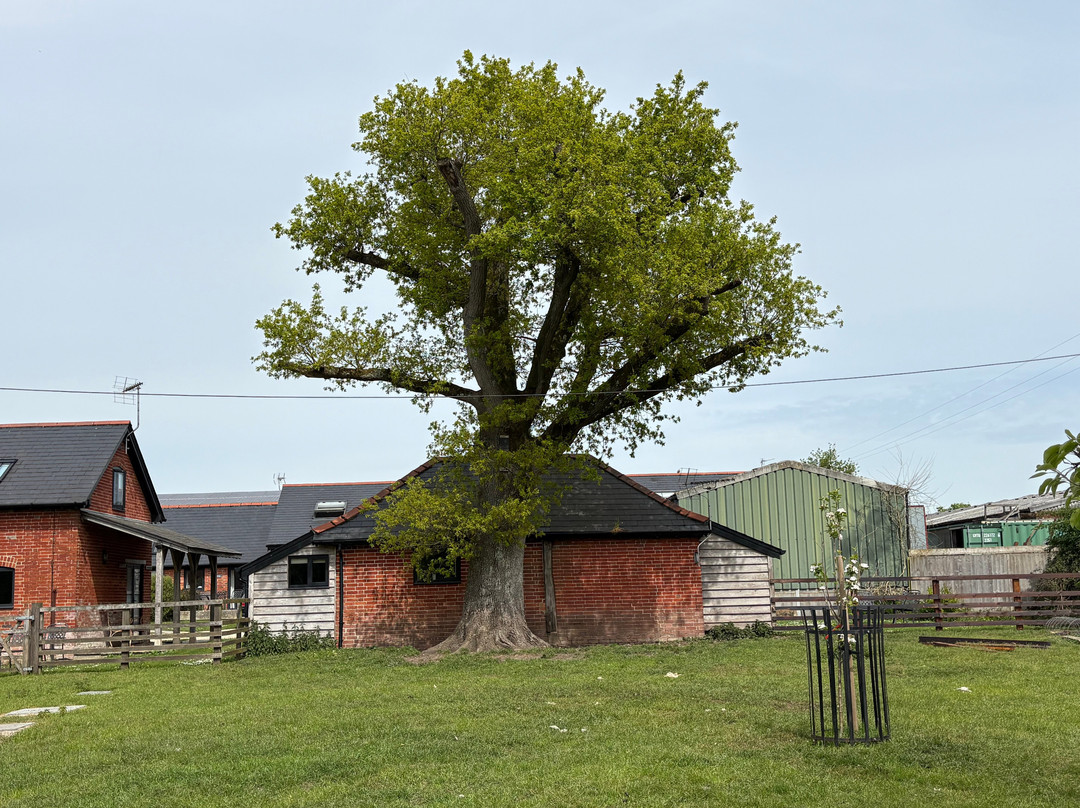 Pyesmead Farm主图