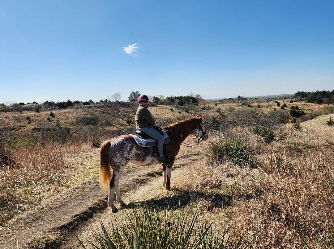 Christine's Horseback Riding-卡尼必去景点