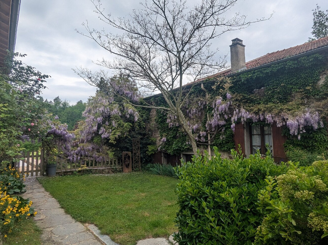 La Vigne Felizier