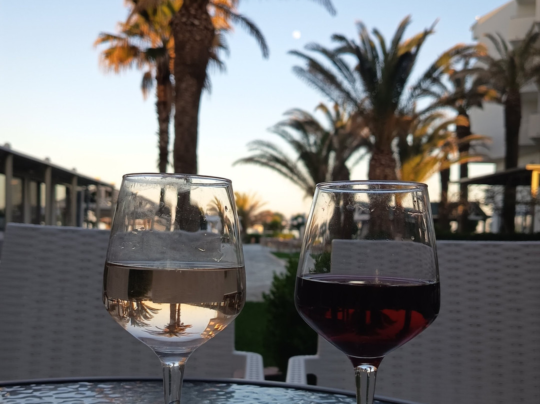 阿波罗海滩酒店主图