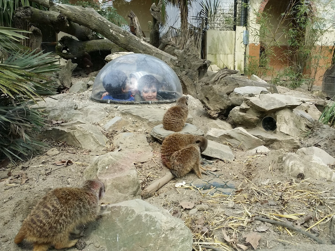 Giardino Zoologico Di Pistoia-皮斯托亚必去景点