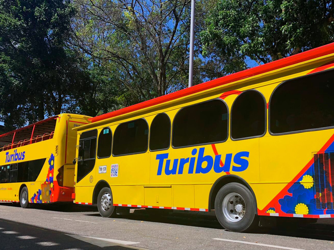 Turibus Colombia-麦德林必去景点