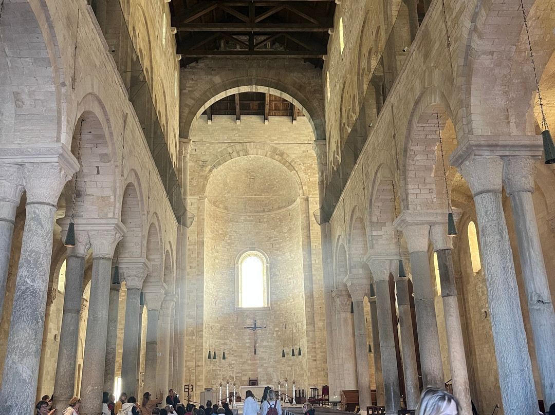 Cattedrale di Trani-特拉尼必去景点