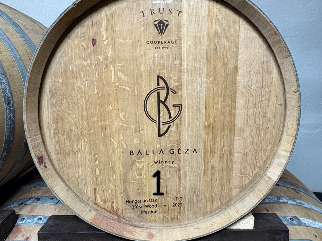 Balla Geza Winery-阿拉德必去景点