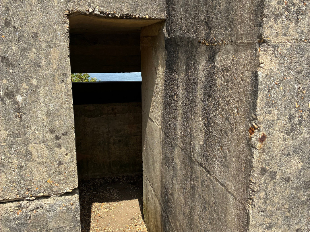 Fort Henry-Studland必去景点