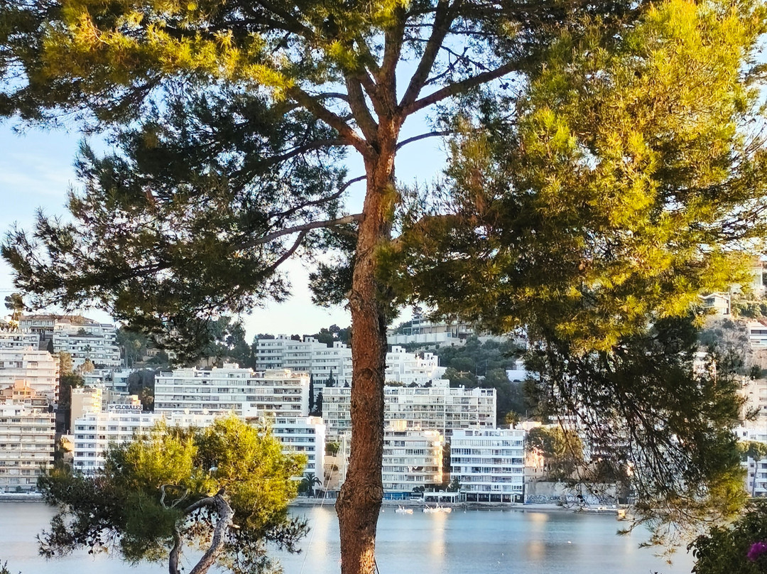 ONA冲浪海滩住宿主图