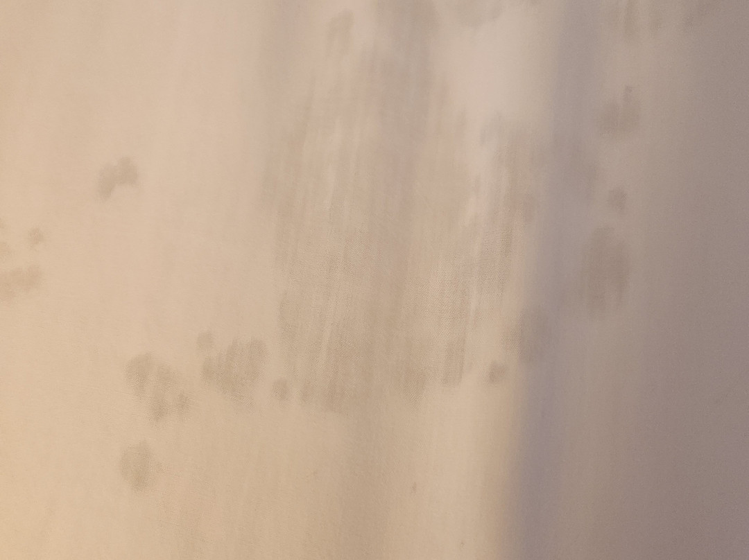 拉斯维加斯速8酒店主图