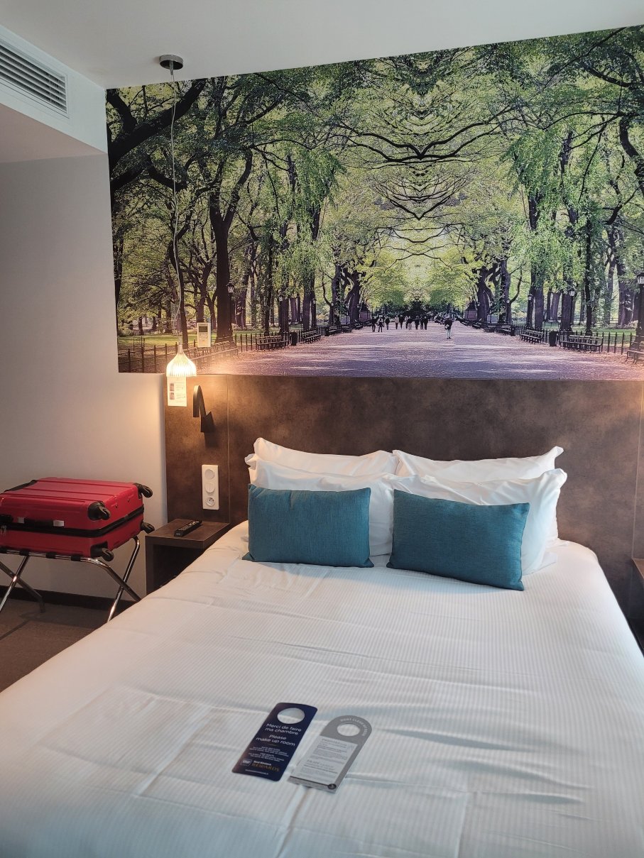 Best Western Plus Central Park Hotel-客卧