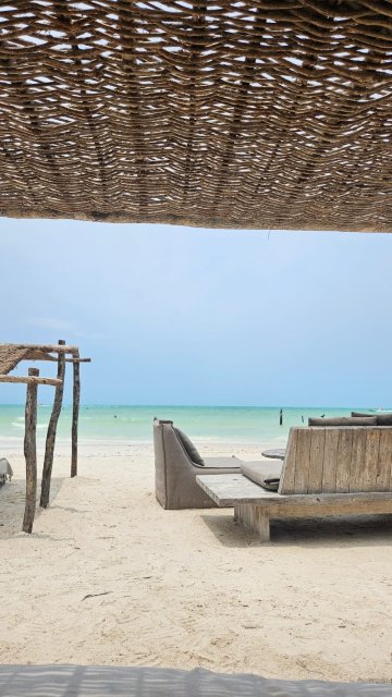 Nômade Holbox-旅行者