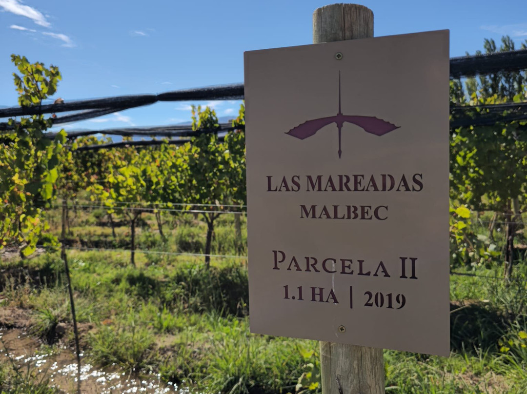 Bodega Los Dragones