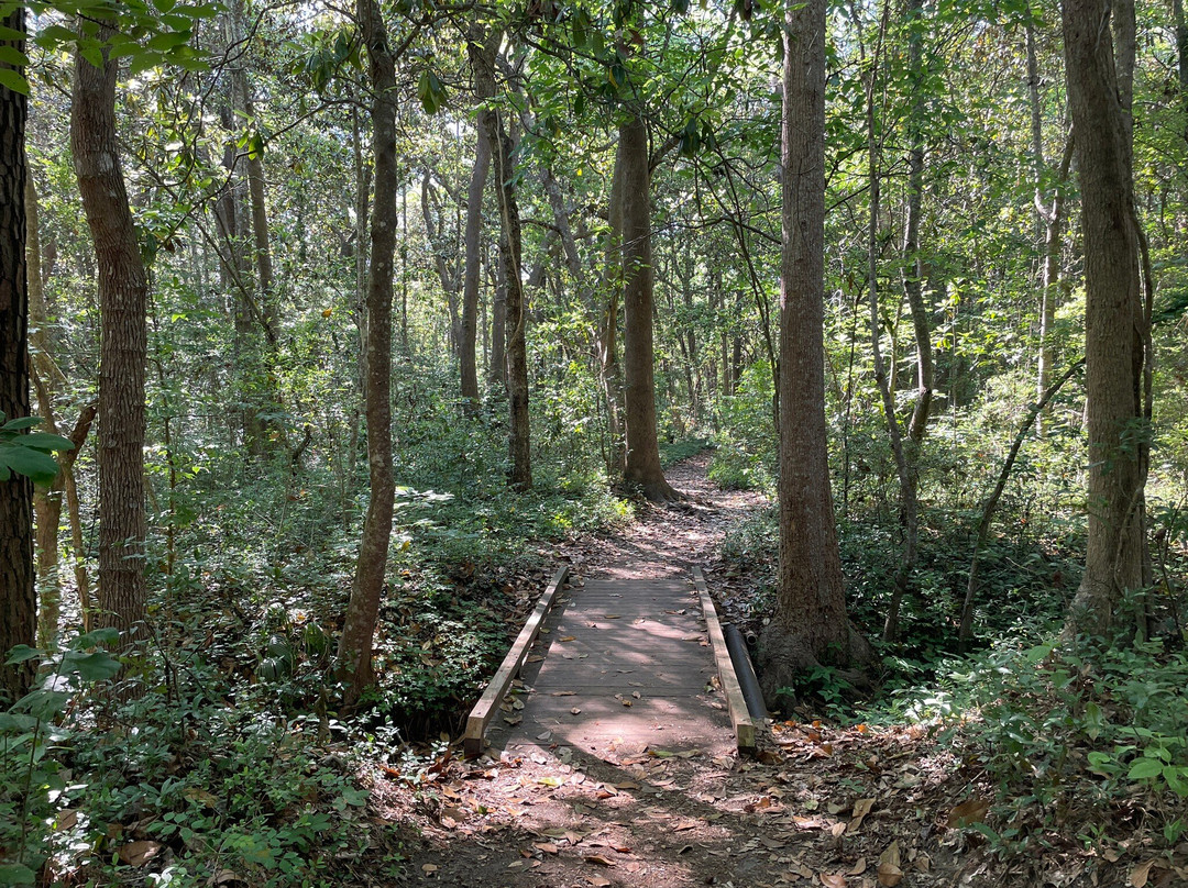 Myrtle Beach State Park-美特尔海滩必去景点