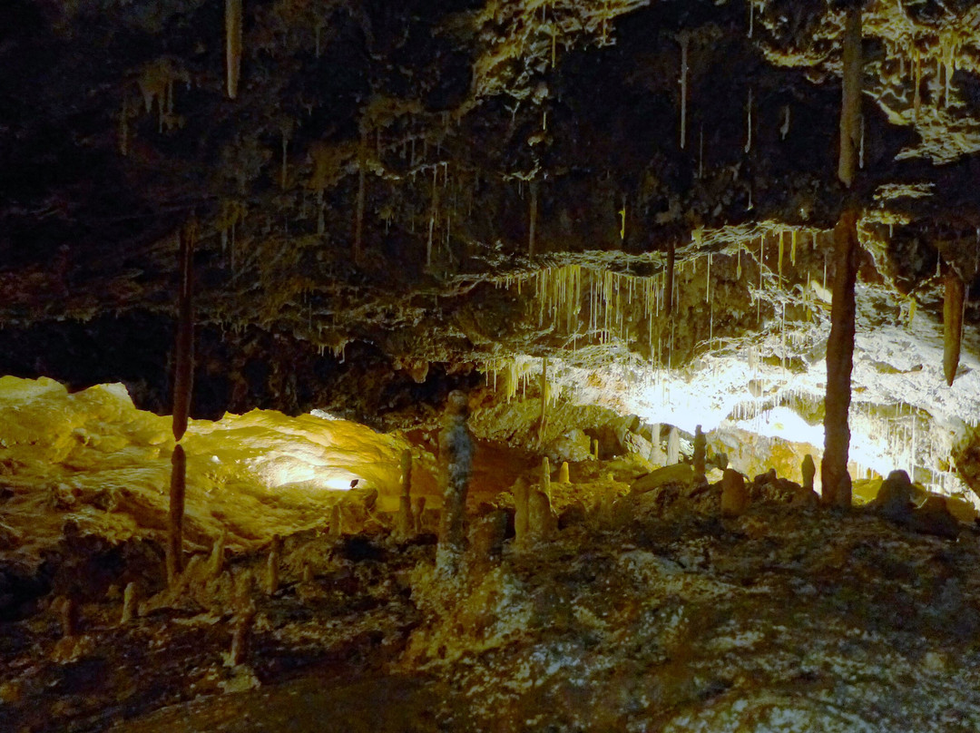 Grotte di Borgio Verezzi-Borgio Verezzi必去景点