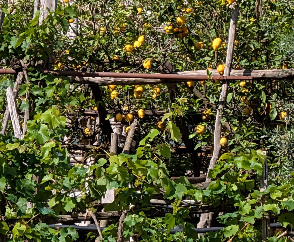 Sentiero dei Limoni-马奥莱必去景点