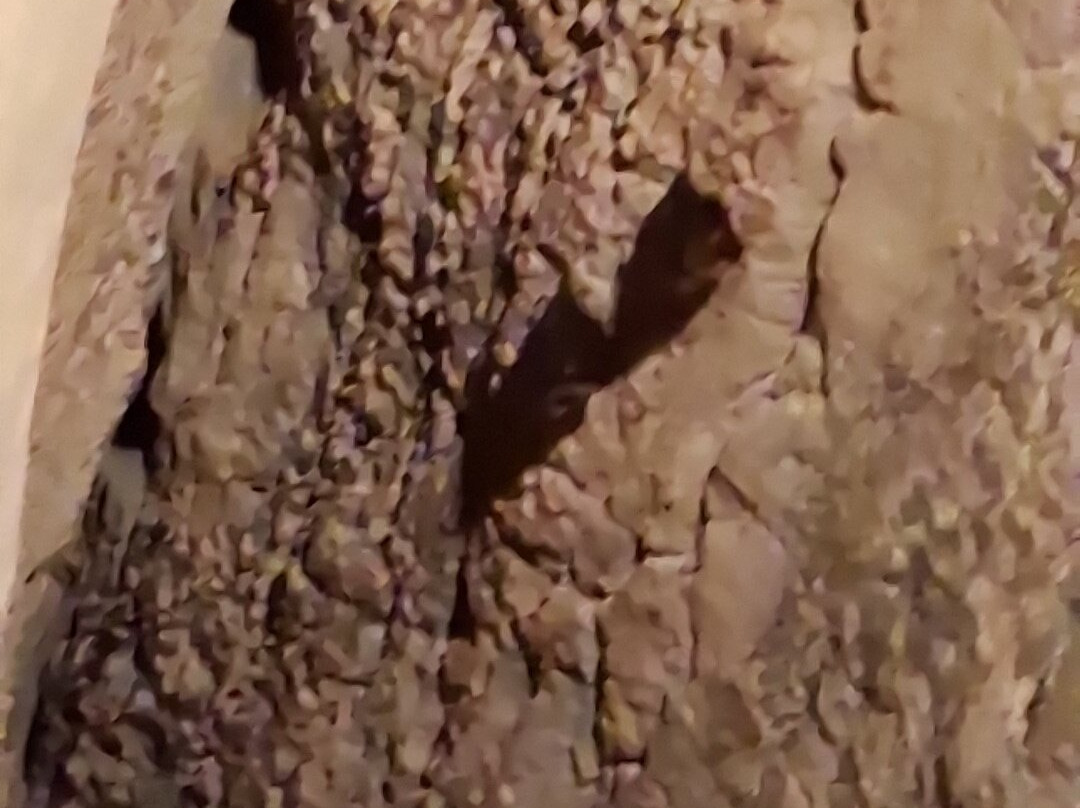Grottes de Baume-les-Messieurs-Baume-les-Messieurs必去景点