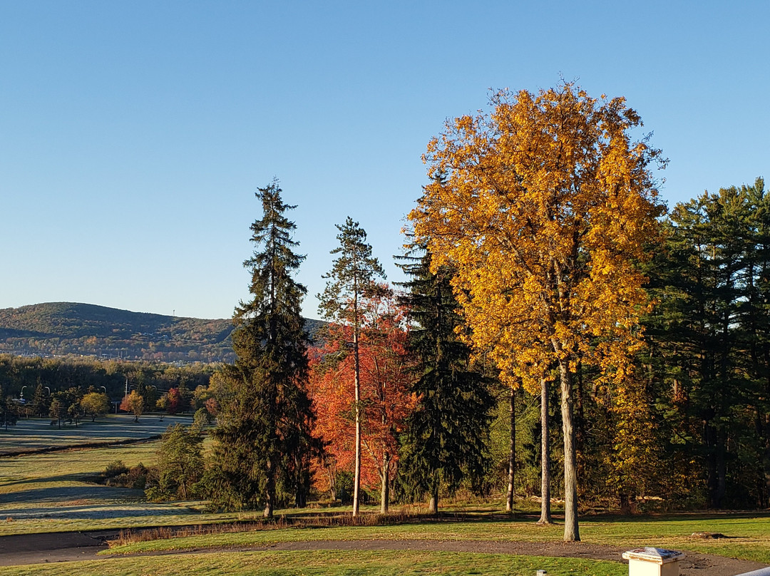 Traditions at the Glen Hotel and Spa