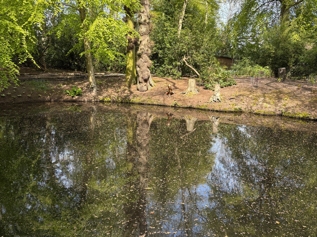 Hare Hill Park And Gardens-Over Alderley必去景点