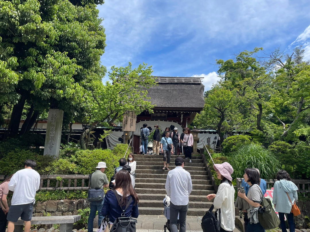 Jindai-ji Temple-调布市必去景点