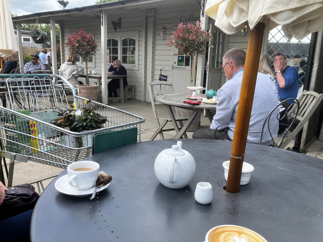 Alban Hill Nurseries