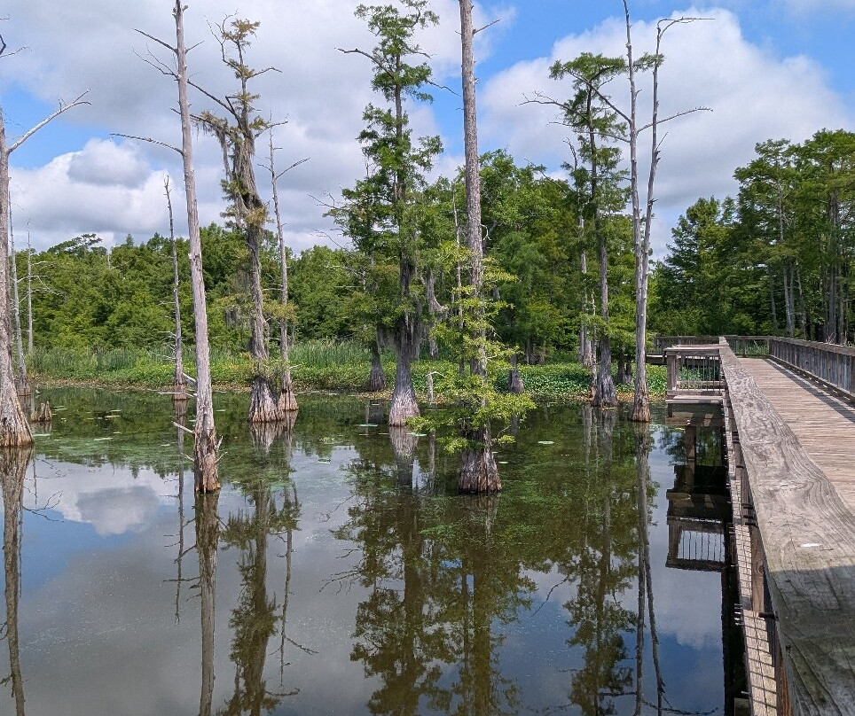 Black Bayou Lake National Wildlife Refuge-门罗必去景点