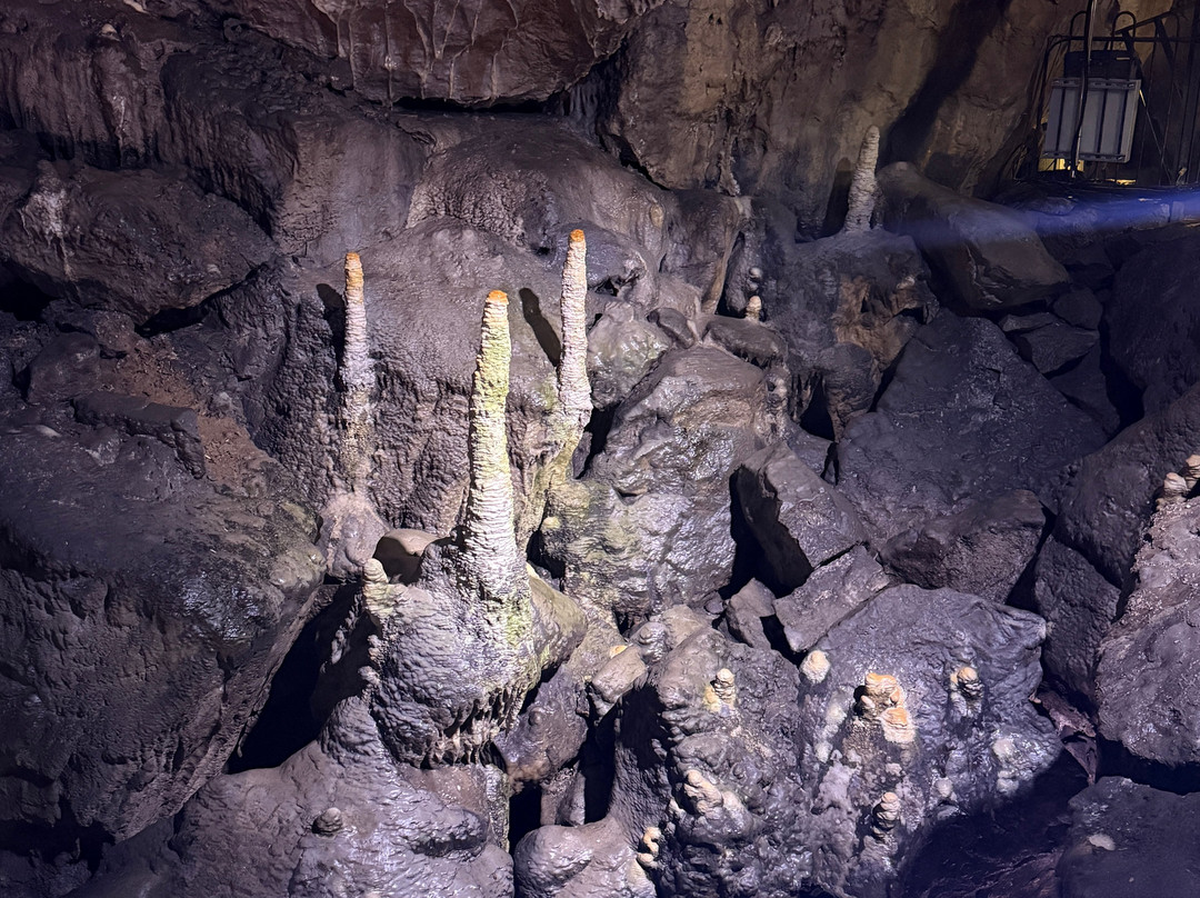 Poole's Cavern & Buxton Country Park-巴克斯顿必去景点
