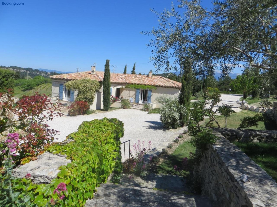 OLIVE dans CERISE EN PROVENCE