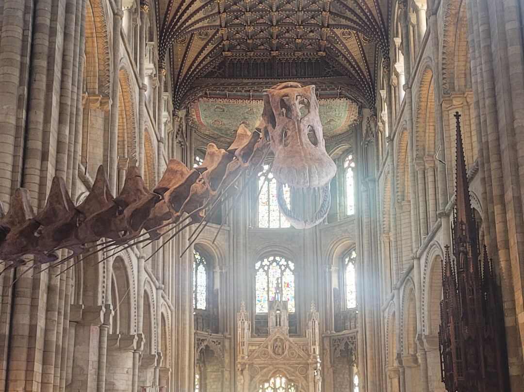 Peterborough Cathedral-彼得伯勒必去景点