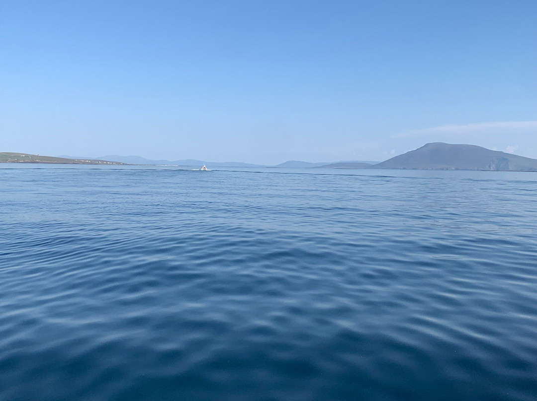 Belmullet Boat Charters - Inishkea Ferry & Sea Safari Tours-Belmullet必去景点