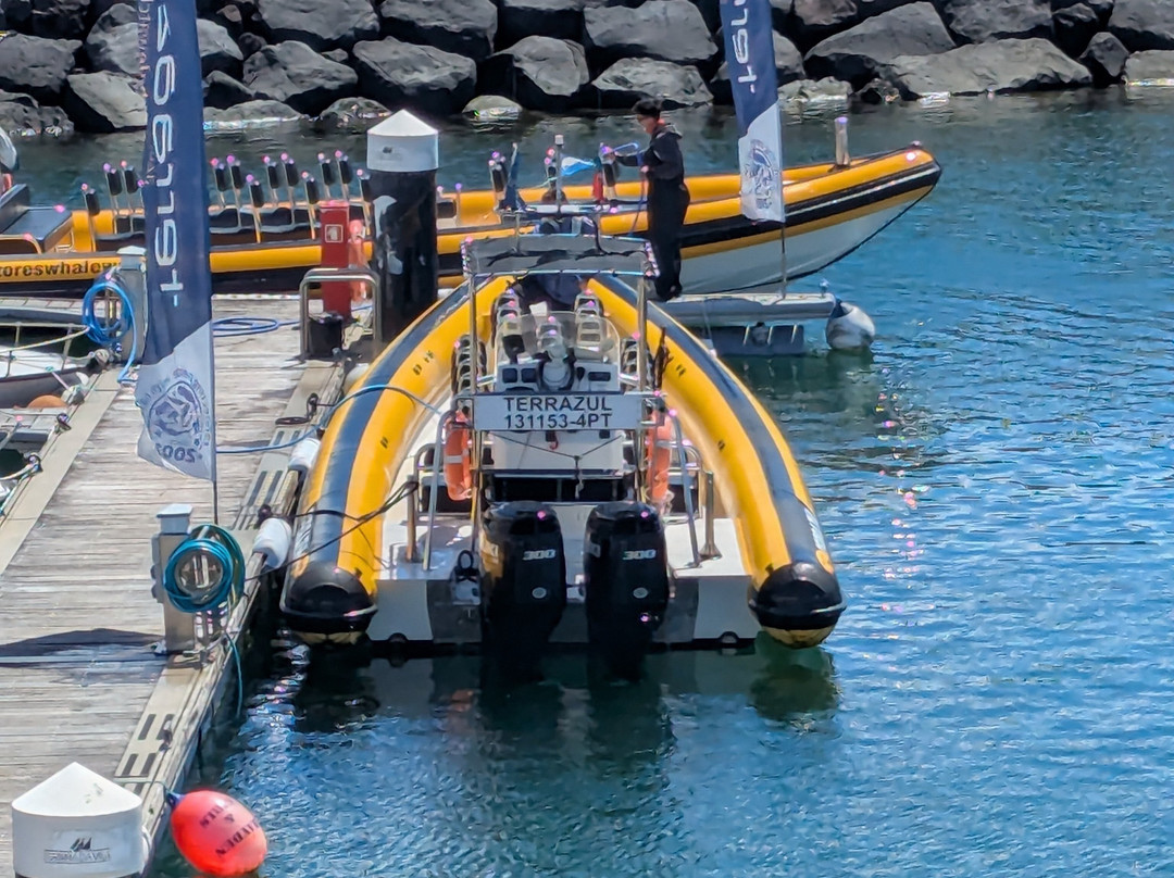 Azores Whale Watching TERRA AZUL-Vila Franca do Campo必去景点