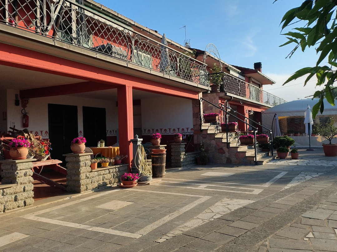 Agriturismo Bisenzio e B&B主图