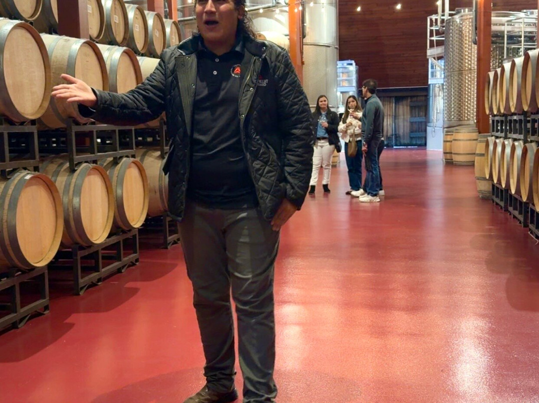 Chappellet Winery-圣海伦娜必去景点