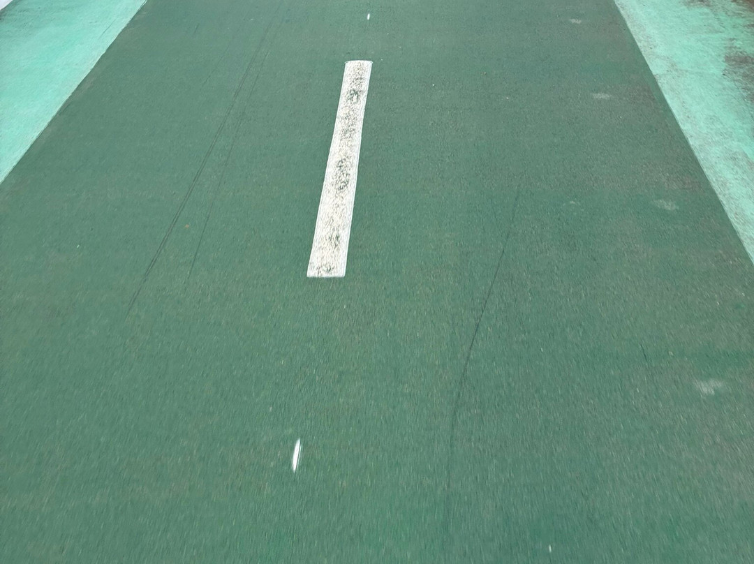 Freedom Cycling Bridge-Devinska Nova Ves必去景点