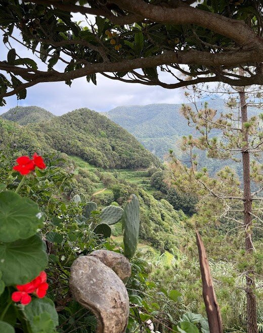Tenerife 100 Cultures-特纳里夫必去景点