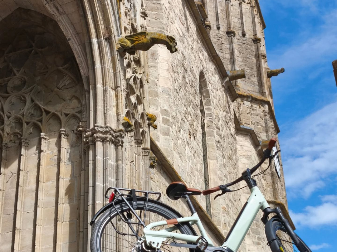 Easy Vélo Carcassonne-Villegly必去景点