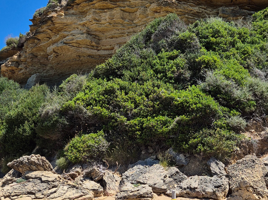 Gerakas Beach-瓦西里科斯必去景点