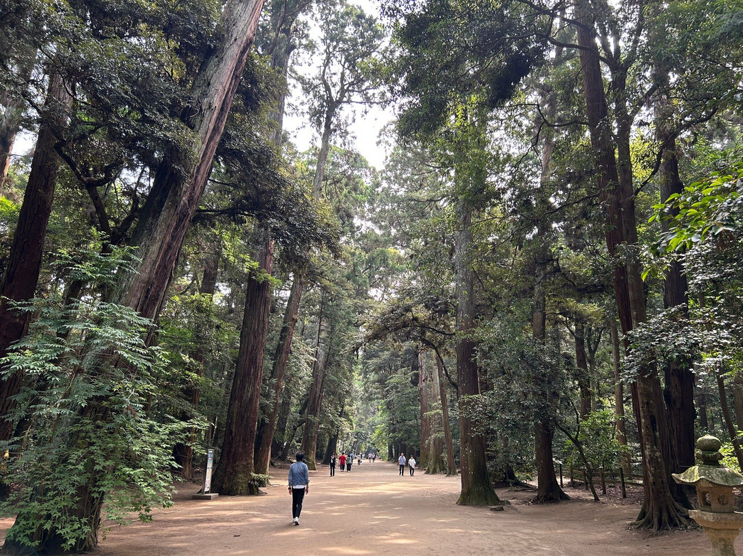 Kashima Shrine-鹿岛市必去景点
