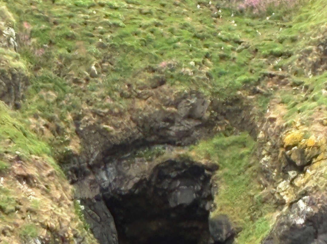 Pembrokeshire Islands Boat Trips-Skomer Island必去景点
