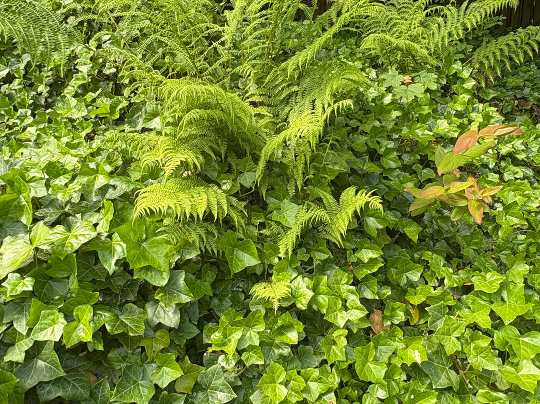 Mount Stuart-Rothesay必去景点