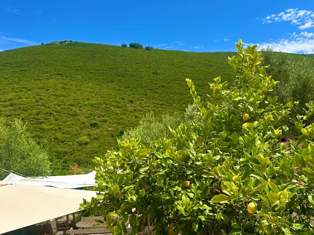 Goumas Estate - Art & Wine Winery-Maries必去景点