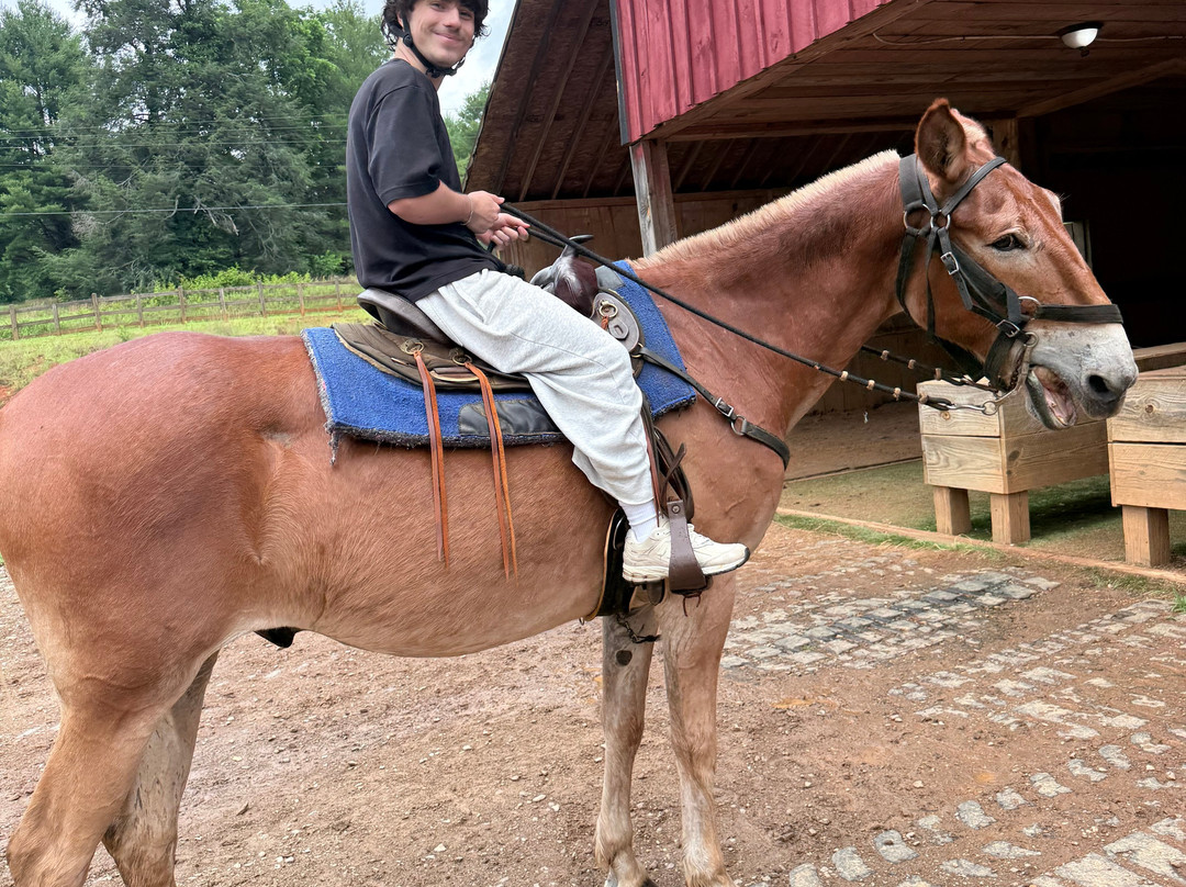 Appalachian Trail Rides-Mineral Bluff必去景点