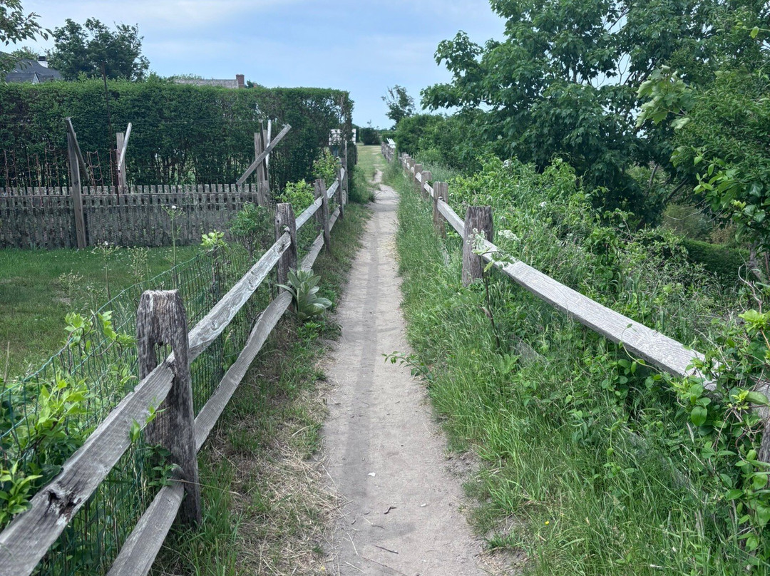 Sconset Bluff Walk-楠塔基特必去景点