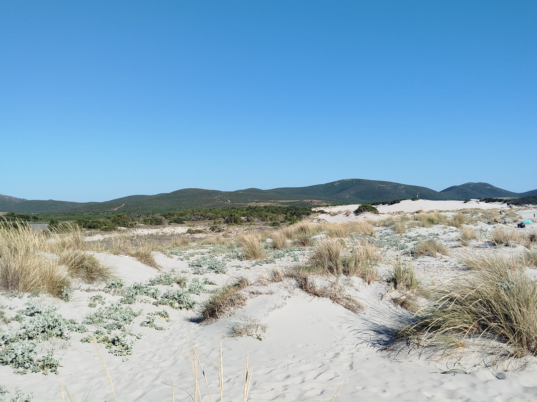 Bahia Porto Pino Beach-Sant'Anna Arresi必去景点