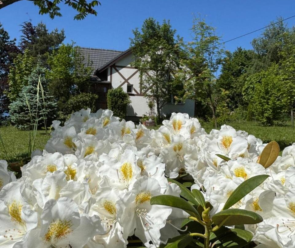 Karkonoski Widok